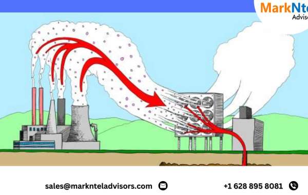 Unveiling the Potential of Carbon Capture & Storage Market: Geographical Analysis and Future Outlook