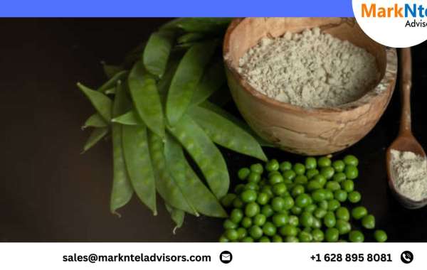 Pea Protein Market Analysis: Trends, Challenges, and Growth Opportunities in 2023-2028