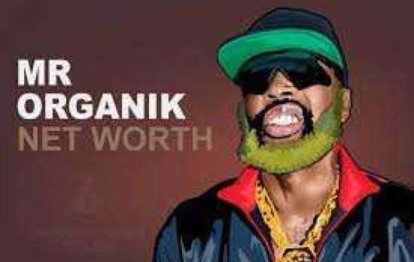 Mr Organik Net Worth: How much do the rapper and vlogger earn?