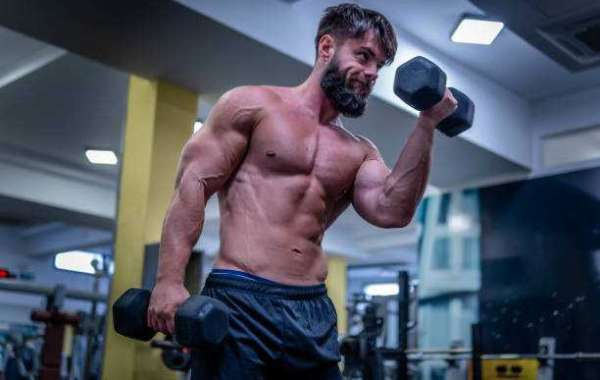 Anabol Tablets Price: Affordable Options for Muscle Gain