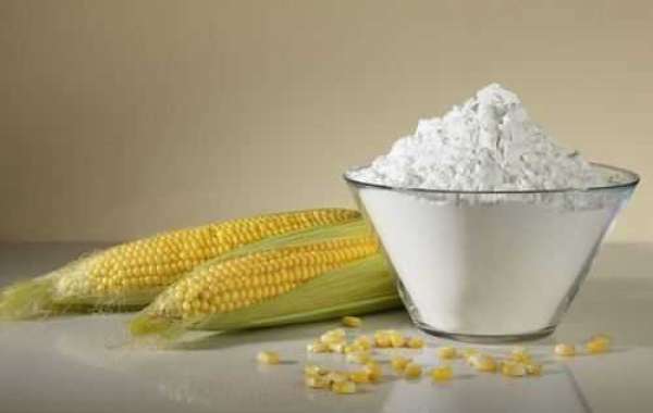 Maize Starch Manufacturing Plant Project Report 2024: Manufacturing Process, Raw Materials, Cost and Revenue