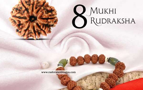 Buy 8 Mukhi Rudraksha From Rashi Ratan Bhagya At Genuine