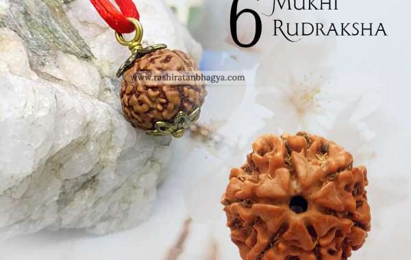 Buy 6 Mukhi Rudraksha Best price Online at Rashi Ratan Bagya